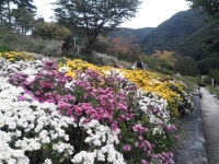 사람들은 왜 산에서 막걸리를 찾는 걸까