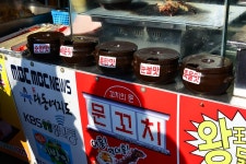 가족과 전주여행? 아빠가 알려주는 여행 꿀팁