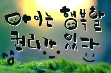 강원도 애들도 풀 밟을 시간이 없다