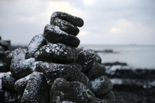 눈 쌓인 제주 돌담길을 걷는다는 것