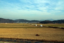 농부들이 논에서 이 돌을 치우지 않은 까닭