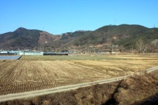 내가 왜적에게 죽으면 저 흰바위가 검게 변할 거요