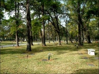 어머니 육신은 이제 다 썩었을 거야