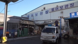 새 노량진 수산시장... 저기 들어가면 다 망한다