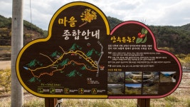 의성 산수유축제, 4번 가본 사람이 추천하는 장소
