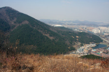 세 아들과 함께 같은 날 전사한 박응성 의병장