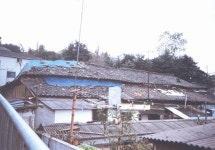 아이들 수천명이 방황하는 마을, 군산이었다