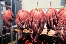 발라먹고, 비벼먹고, 라면까지... 대게의 품격