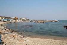 발라먹고, 비벼먹고, 라면까지... 대게의 품격