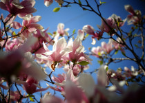 왜가리도 찾는 이곳, 여기가 무릉도원입니다