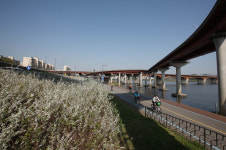 강바람 휘날리며~ 한강 산책코스 베스트4