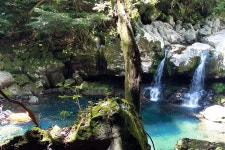 제주에서 결혼한다니까... 너희 로또 맞았니?