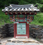 노무현 대통령 탄핵을 예고한 고목?