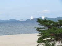 북한 꽃제비들, 차라리 여기서 살길 바란다