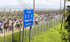 평화는 오직 평화적 방법으로만 이룰 수 있다