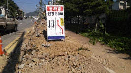 30년된 나무도 싹둑...이런 공사는 처음