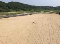 [모이] 금모래 빛 무섬마을 언제까지 볼 수 있을까요