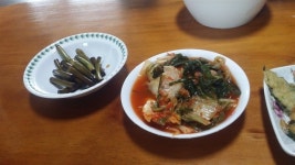 [모이] 비오는 날엔 콩국수에 빈대떡이죠