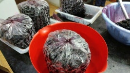 [모이] 얼굴 까맣게 될 때까지 깔깔거렸지요