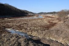 EBS가 밝힌 풀밭이 된 내성천의 진실