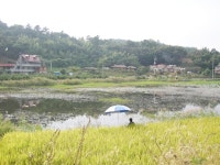 군산 은파호수공원 주변 명소와 지명유래