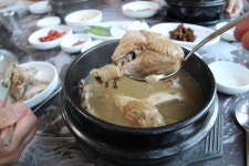 여름 무기력이 사라졌어... 고마와 옻닭아