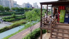 [모이] 신발 벗고 들어가야 하는 도서관