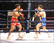 수훈이와 하원이의 메이저 격투대회 도전기