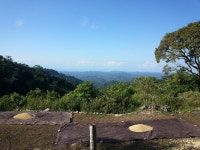 커피 한 잔 때문에 동티모르까지 왔습니다