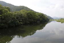 하늘하늘, 서성거리는 것만으로도 좋다