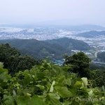 탈출하는 총리를 예술 작품으로 변신시켰다