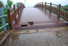 야생동물 배설물만 가득, 여기 금강 맞나요