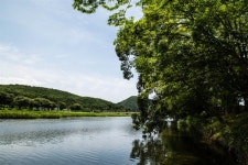 [모이] 전남 화순의 유명 나들이 코스