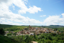 수도 꼭지에서 공짜 와인 콸콸, 상상이 되나요