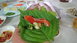 광양 백운산 계곡에는 무지개송어가 산다