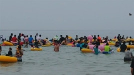 [모이] 피서객 5만 명 몰린 태안 만리포