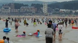 [모이] 피서객 5만 명 몰린 태안 만리포