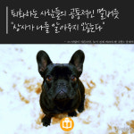 [이책어때] 어린아이와 어른 사이에서