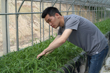 3년내 100억 매출 삼채총각 농업계의 스타벅스 되겠다