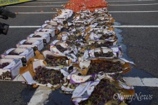 사드 때문에 14만 김천시민 다 죽일 셈이냐