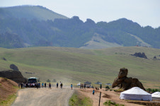 세상에서 가장 큰 거북이 보셨나요?