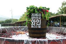 광명동굴 와인 페스티벌, 한국의 와인을 즐긴다