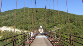 바삭바삭 인삼튀김을 아시나요