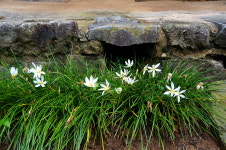 넘어오기 쉽게 대문을 사다리처럼 만든 이유