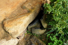 넘어오기 쉽게 대문을 사다리처럼 만든 이유