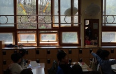 초등학교 옆 숲이 잘린다, 용인시장이 결단해야