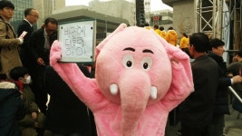 [모이] 광화문 등장한 분홍코끼리, 손팻말 살펴보니