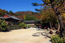 별들이 발아래에서 노래하는 대원사 계곡 단풍