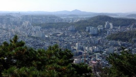 반려견도 좋아하는 부드러운 능선길, 서울 백련산