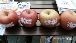 1만 대구 시민들 결자해지 차원에서 우리가 퇴진시켜야